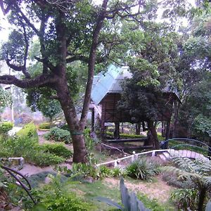 Great Escapes Resorts